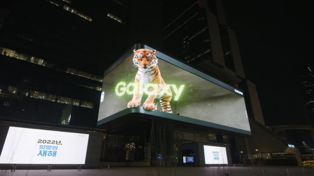 Tiger in the City 