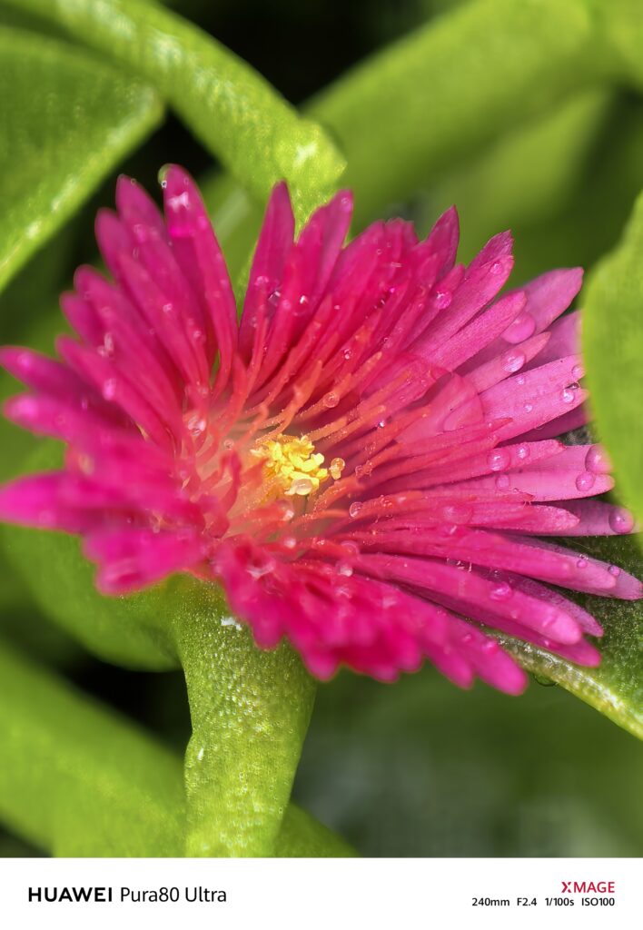 pura 80 ultra camara