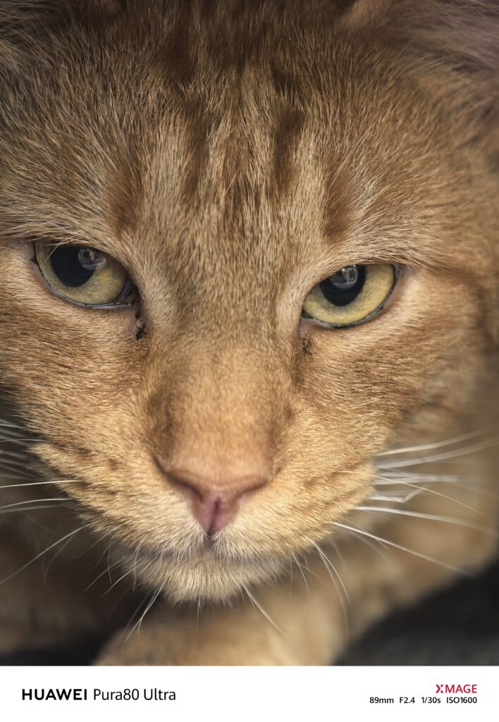 Camara Huawei pura 80 ultra