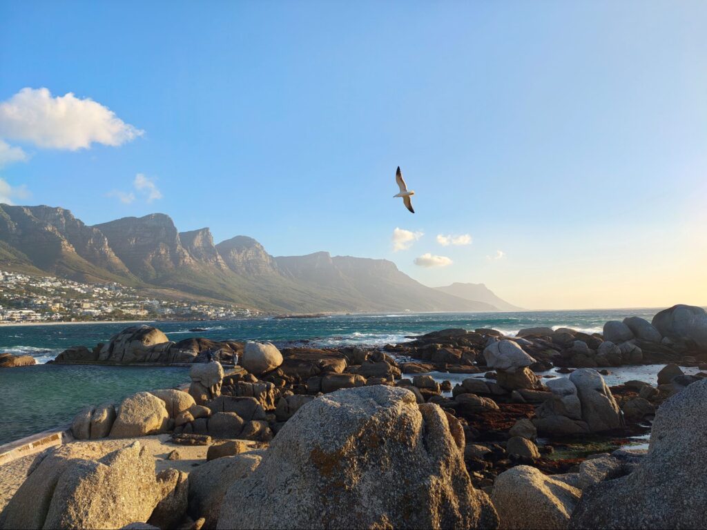 Motorola Signature cámara 50MP